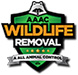 Cypress Wildlife Removal